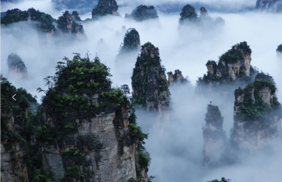 康養(yǎng)游大勢已至，張家界武陵源區(qū)點“藥”成金